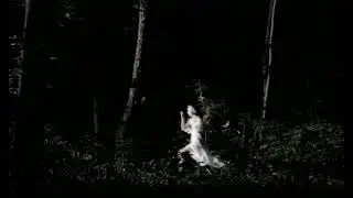 ТРИ ДНЯ ДОЖДЯ - 