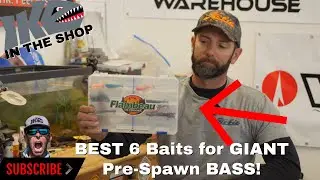 BEST 6 BAITS for GIANT PRESPAWN BASS!