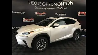 2021 Lexus NX 300  PREMIUM PACKAGE