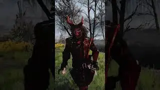 Witcher 3 best armor mod 