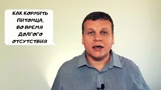 КАК ЗАПАСТИСЬ И КОРМИТЬ ПИТОМЦА, ВО ВРЕМЯ ДОЛГОГО ОТСУТСТВИЯ?