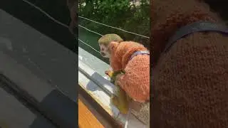 Моменты из жизни