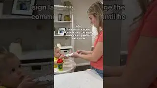 Teaching Toddler Sign Language 