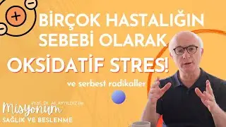 Oksidatif Stresin Vücuda Etkileri Nelerdir? Serbest Radikaller ve Oksidasyon