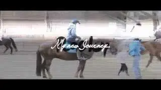 My new Journey [New Horse]