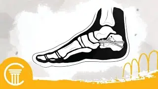 Orthopedic Surgery Malpractice