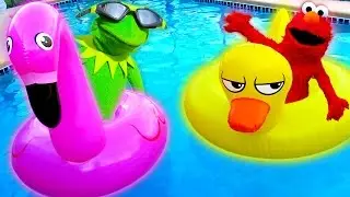 Kermit the Frog and Elmo Go Swimming with New Friends!