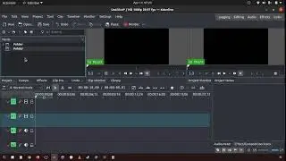 80 How to make folders in the project bin