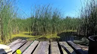 Воскресная рыбалка. С боковым кивком по старым местам