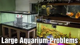 Large Aquarium Problems