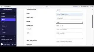 Zoho Creator Custom Widget Tutorial