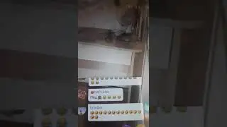 Сказки  от персанажа ок,лайфа Алла Трансова