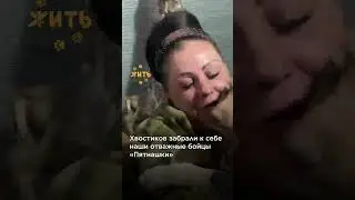 Щенкам из зоны СВО ищут дом @shorts #сво #животные #спасение #питомцы #щенки