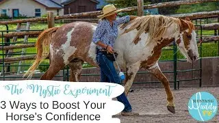 3 Ways to Boost Your Horse's Confidence