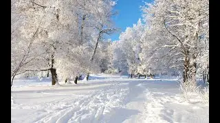 Музыкальная гостиная (выпуск 15) - Песни о зиме