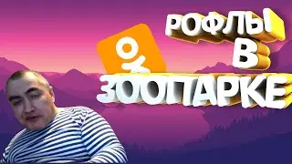 Разговор с богатым сыном депутата в одноклассниках || #2