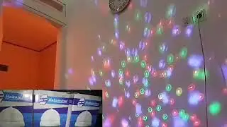 disko lampu, di ruham saja,  rainbows lamb, indonesia