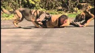 Movie Scene preparation- 