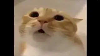 veeery long mow