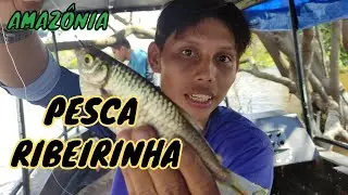 Levando amigos para pescar 🐬