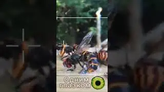 Шершень, наступает СМЕРТЬ! и ничего не поделаешь