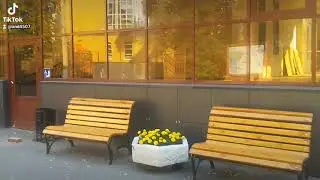 2терапия