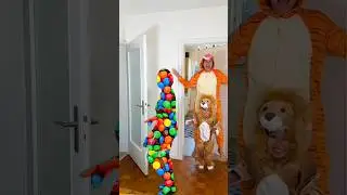 Hide and seek 