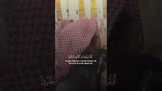 все видео в хорошем качестве, есть в телеграмм канале, ссылка в описании!!!