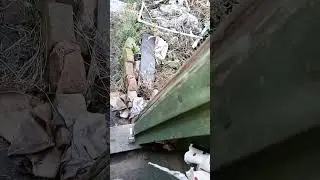 VID 20241119 075249 #витямитя