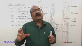 DAY 60: Comples Tissues   Phloem