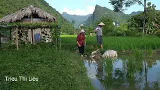 My boyfriend and I's daily life at the fish pond renovation farm