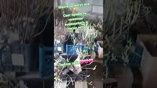 Рабочие будни😀 