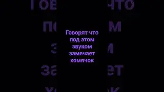 я хочу чтоб ты сказала хомясок