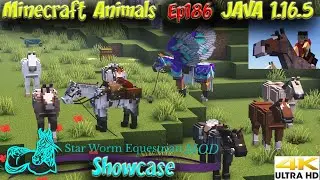SWEM Mod Horse Showcase Star Worm Equestrian Mod Java 1.16.5 Horse Mod Minecraft Animals Ep186