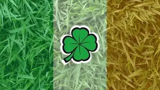 A Song For: An Irish Vacation