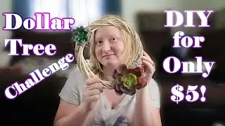 Dollar Tree $5 DIY Challenge | Simple Succulent Wreath
