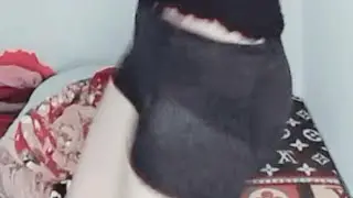 Tiktok - celananya transfaran