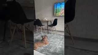 Не женюсь🤣