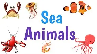 Sea animals names in English | Sea vocabulary | Sunshine English