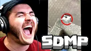 Jschlatt Reacts to Funniest Cat Clips at SDMP Minecraft (Schlatt)
