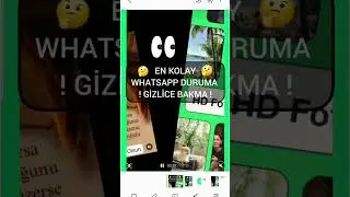 How to See Whatsapp Status Secretly