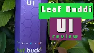Leaf Buddi UI Reivew And Tutorial