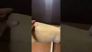 Дубовая раковина! Скоро!
