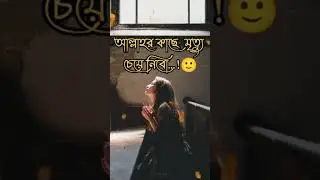 কোন মানুষের কাছে ভালোবাসা চাইবো না 😭