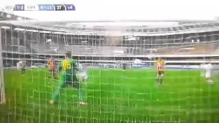 Goal Ciofani.Verona-Frosinone 1:2.