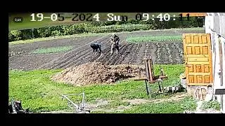 Посадка картофеля мотоблоком под окучник.