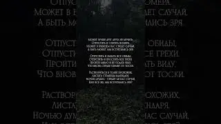 я посвятил созданию этого видео весь день  #поэзия #стихи