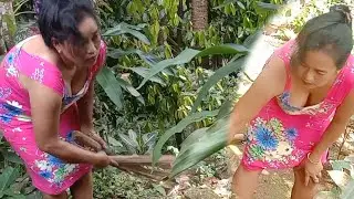 Memang rajin betul bidadari satu ini, setelah dibersihkan taman jadi semakin indah