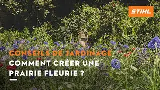 Comment créer une prairie fleurie | Conseils de jardinage STIHL
