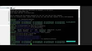 Conectar múltiples sensores DS18B20 a Raspberry